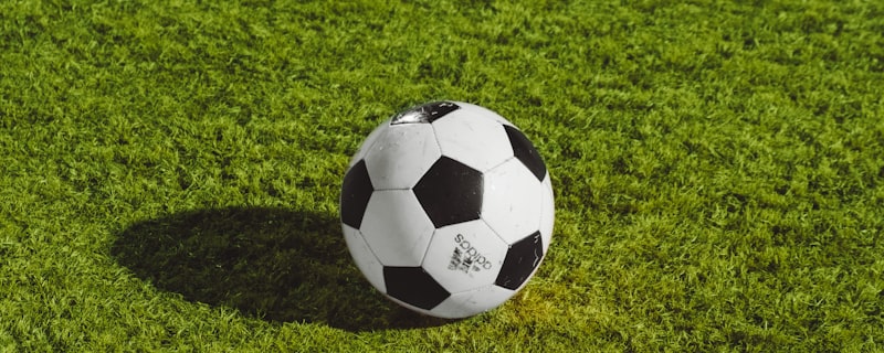 法国国家男子足球队高举大力神杯庆祝夺冠的辉煌时刻